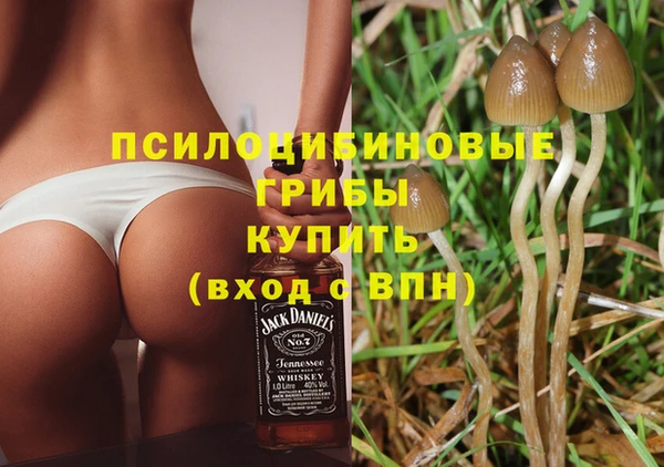 дмт Богородск