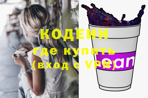 дмт Богородск