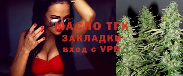 дмт Богородск
