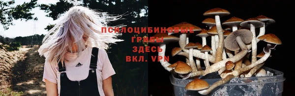 соль курить ск Богданович