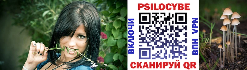 Галлюциногенные грибы прущие грибы площадка состав Сланцы