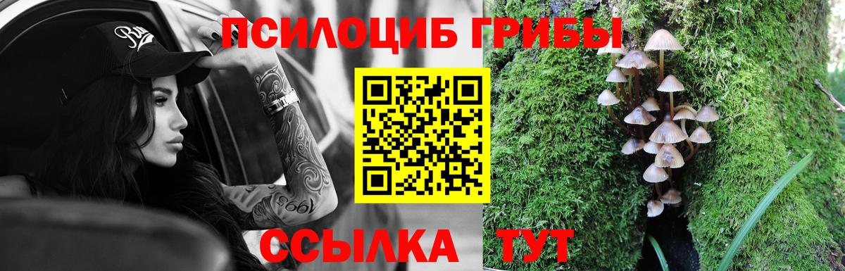 Сланцы  Галлюциногенные грибы GOLDEN TEACHER  Галлюциногенные грибы Psilocybe  Вход с VPN 